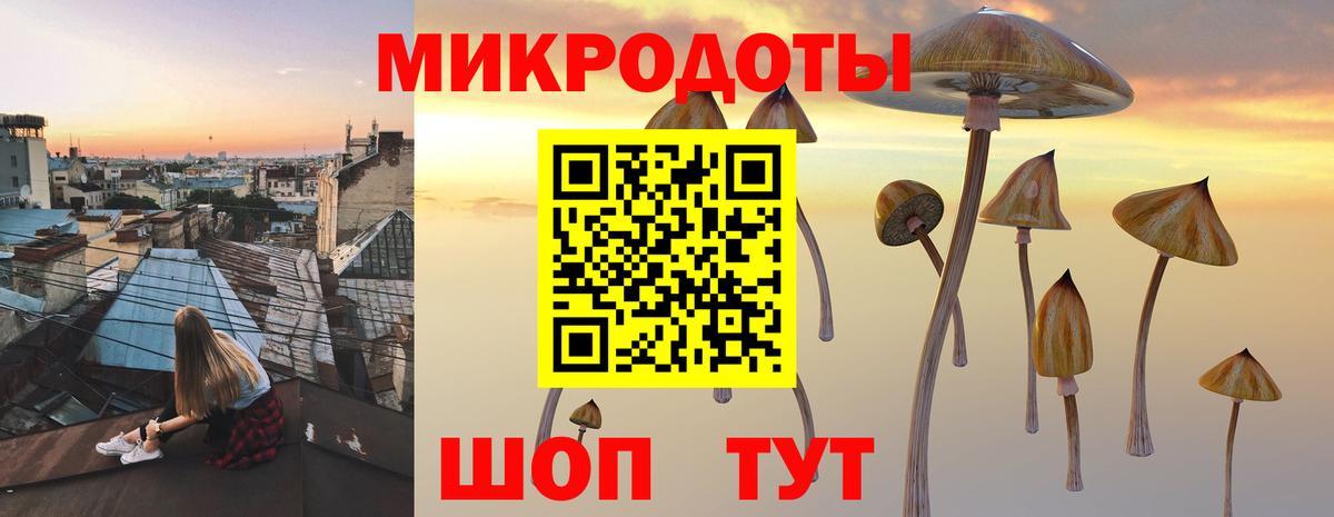 Галлюциногенные грибы прущие грибы Гусиноозёрск