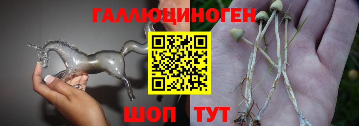 Псилоцибиновые грибы мицелий  Вход с VPN  Гусиноозёрск 